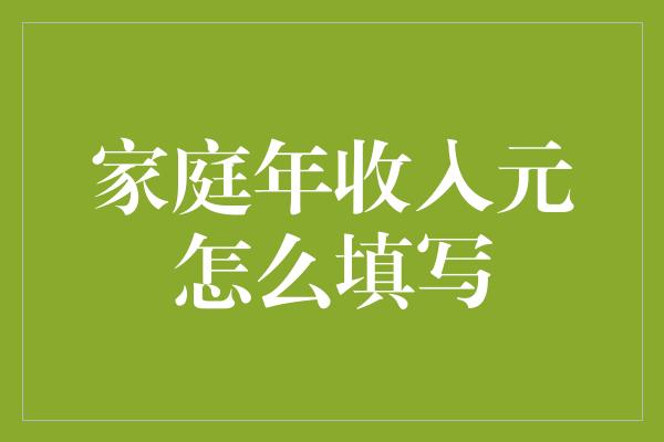 家庭年收入元怎么填写