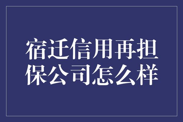 宿迁信用再担保公司怎么样