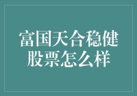 富国天合稳健股票深度解析：稳健投资策略与市场表现评价