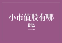 小市值股的投资机会与风险研究