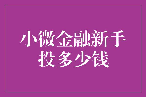 小微金融新手投多少钱