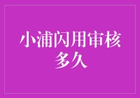 小浦闪用审核多久？别急，你的钱还在兜里转圈呢！