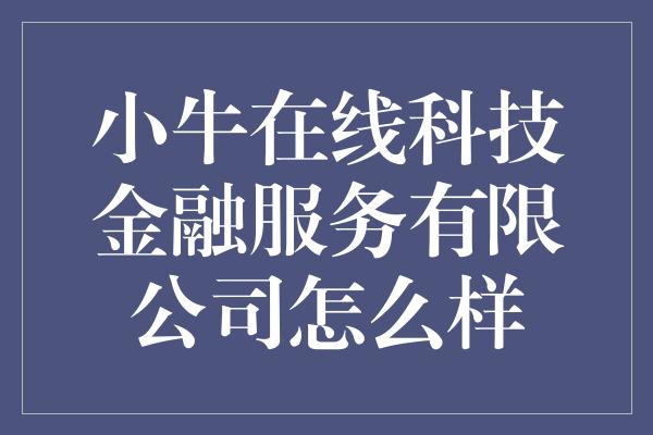 小牛在线科技金融服务有限公司怎么样