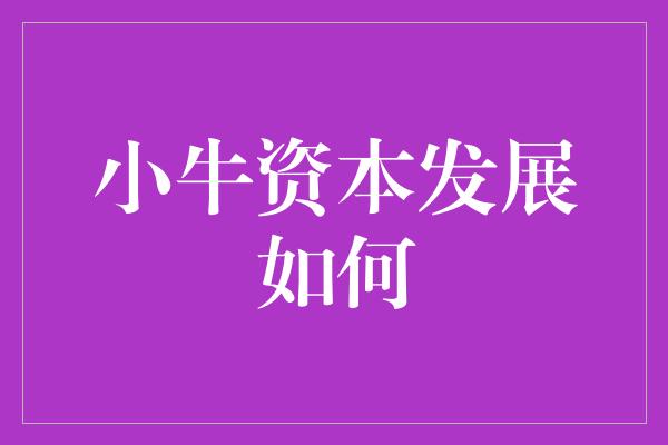 小牛资本发展如何