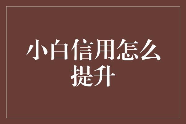 小白信用怎么提升