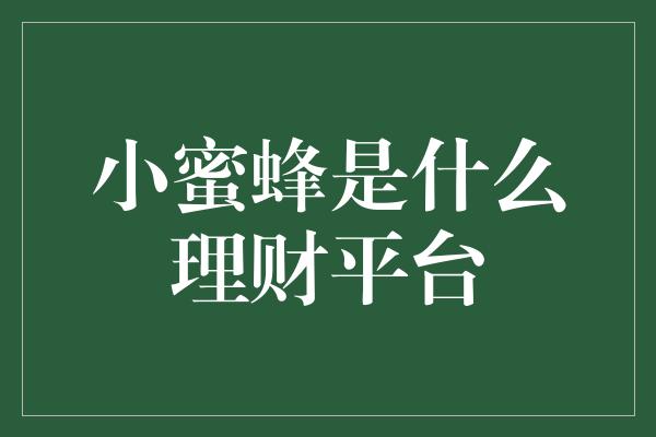 小蜜蜂是什么理财平台