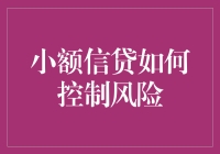 小额信贷：让韭菜翻身做主人，教你玩转风险控制