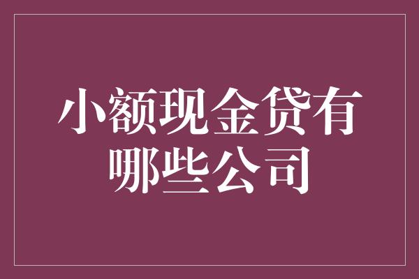 小额现金贷有哪些公司