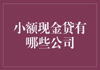 小额现金贷有哪些公司：解析市场领导者与新兴力量