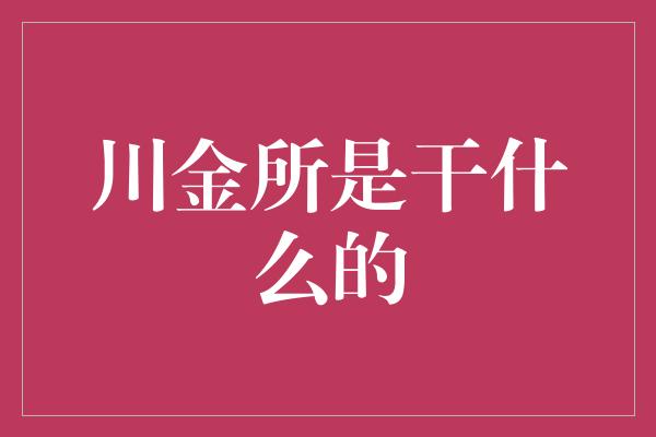 川金所是干什么的