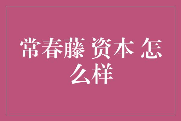 常春藤 资本 怎么样