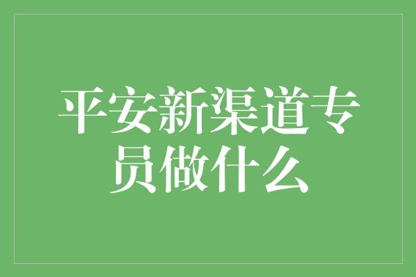 平安新渠道专员做什么