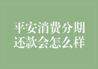 平安消费分期还款：一场与钞票的持久战