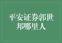 平安证券郭世邦：深耕金融领域，引领行业创新