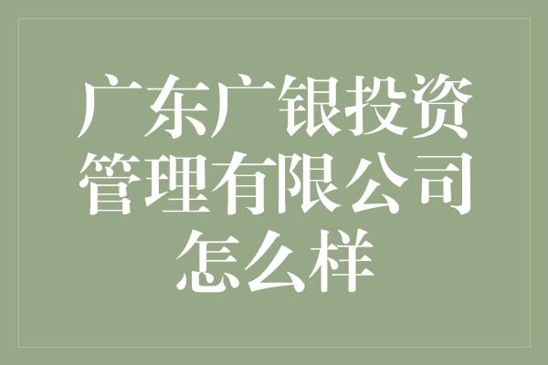 广东广银投资管理有限公司怎么样