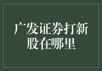 广发证券打新股在哪里：专业投资者的全面解析