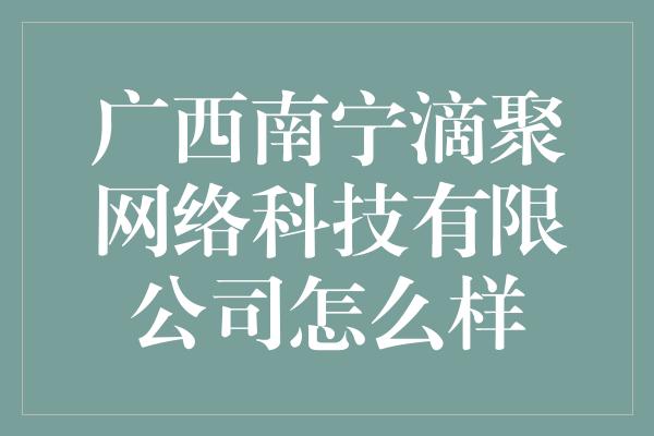 广西南宁滴聚网络科技有限公司怎么样