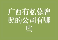 广西地区有哪些拥有私募牌照的公司？