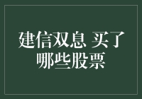 建信双息策略的股票投资组合分析：优选股利与成长性并行