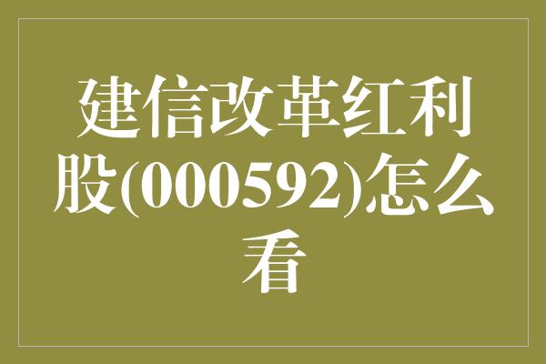 建信改革红利股(000592)怎么看