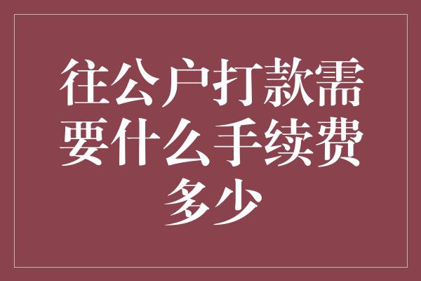 往公户打款需要什么手续费多少