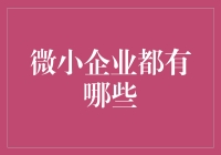 微小企业真的只有小微吗？揭秘你不知道的企业类型！