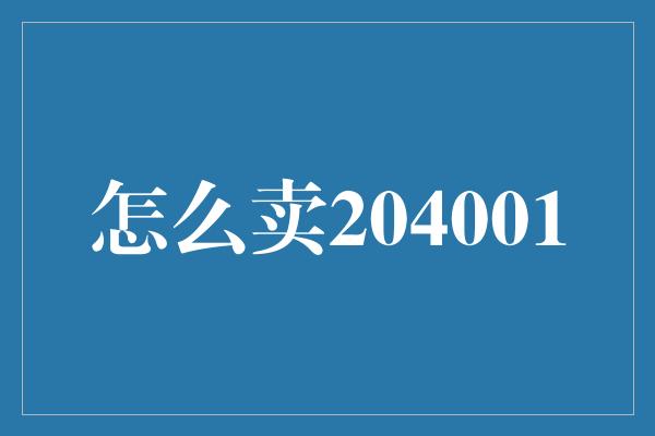 怎么卖204001