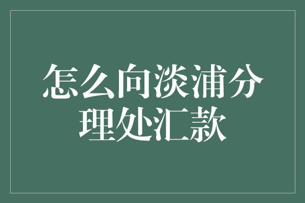 怎么向淡浦分理处汇款