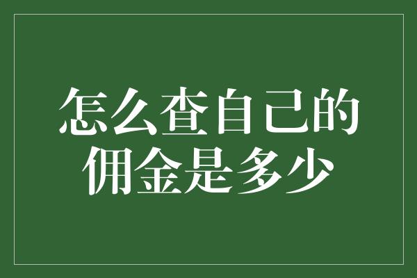 怎么查自己的佣金是多少