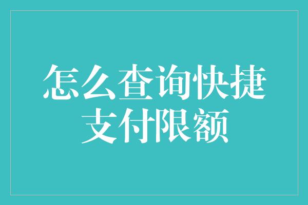 怎么查询快捷支付限额