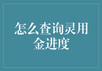 如何高效查询灵用金进度：专业指南