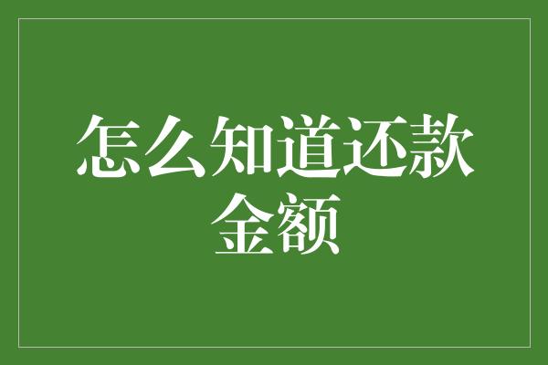 怎么知道还款金额