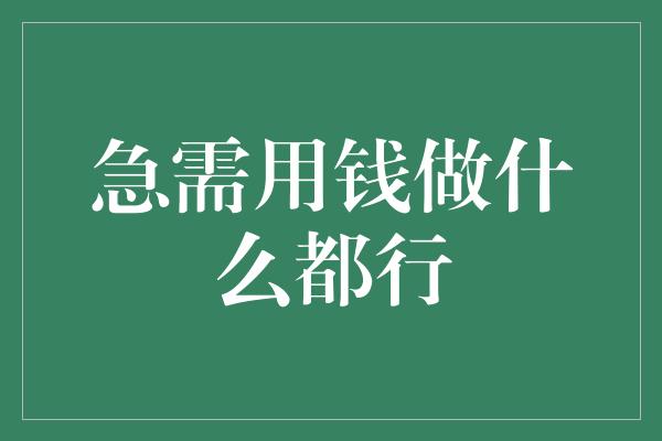 急需用钱做什么都行