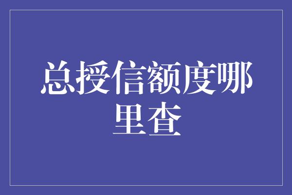 总授信额度哪里查