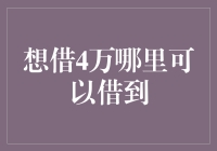 寻找金融援助：4万元贷款从何而来？