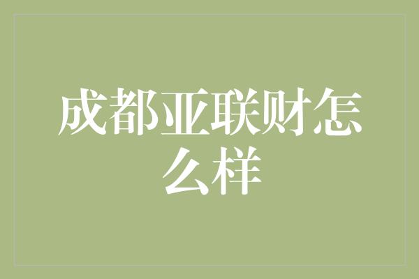 成都亚联财怎么样