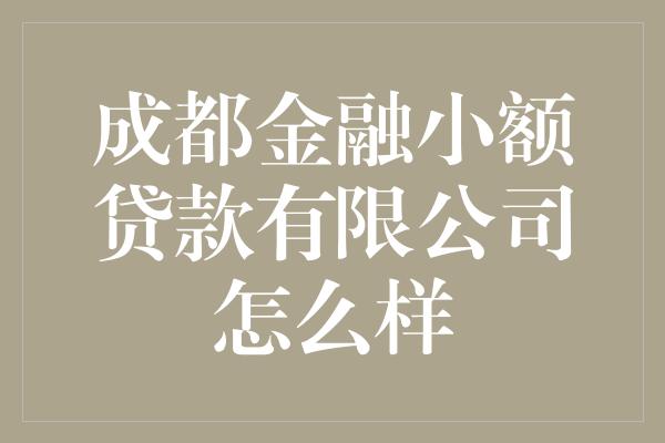 成都金融小额贷款有限公司怎么样