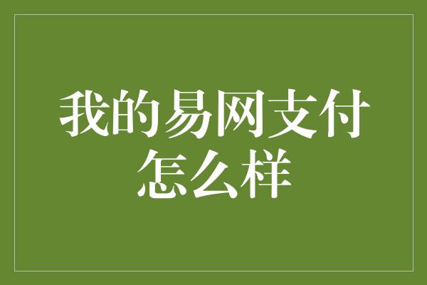 我的易网支付怎么样