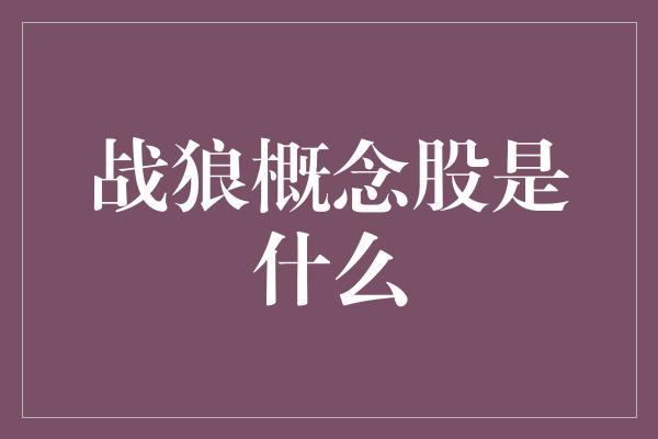 战狼概念股是什么