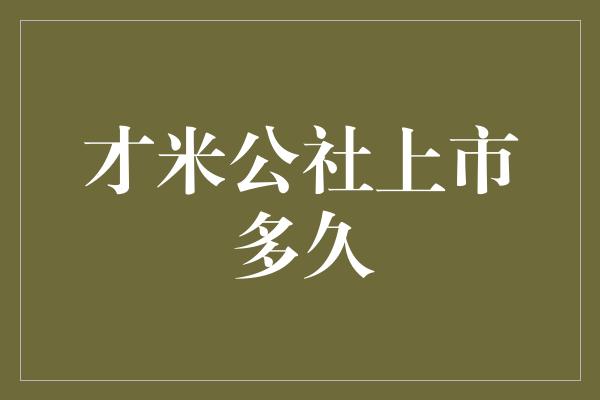 才米公社上市多久