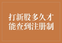 打新股必备指南：如何快速查询注册制信息？