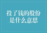 投了钱的股份是什么意思：理解股权投资的本质与价值