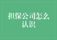 担保公司：你的钱包有了守护神？