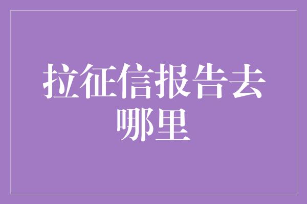 拉征信报告去哪里