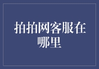 拍拍网客服：在线答疑解惑的智慧灯塔