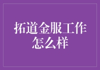 拓道金服：深度解析金融领域的创新者