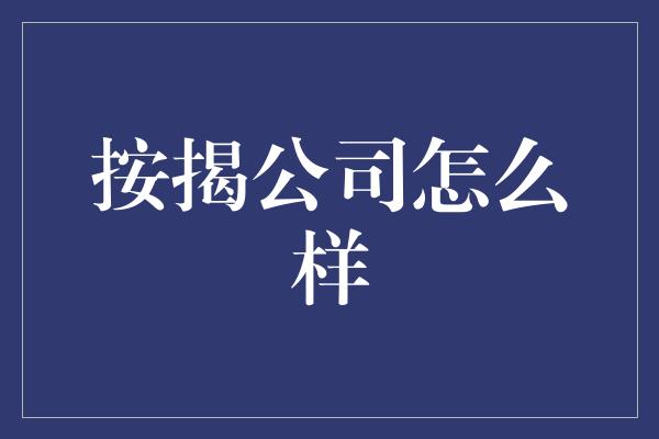 按揭公司怎么样