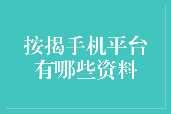 按揭手机平台有哪些资料