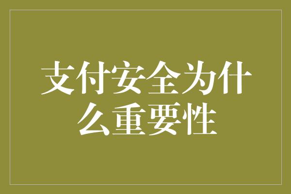 支付安全为什么重要性