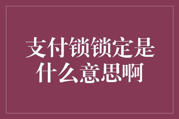 支付锁锁定是什么意思啊